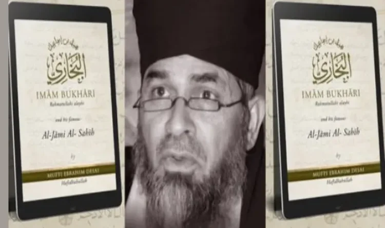 What was the connection between South Africa's Grand Mufti Ebrahim Desai and India?