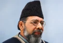 Was Maulana Mohammad Ali Jauhar responsible for the partition of India?