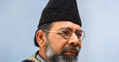 Was Maulana Mohammad Ali Jauhar responsible for the partition of India?