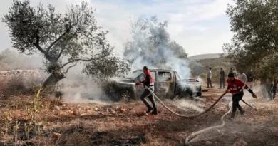 Palestinians who saved Heidi Levine