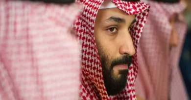 Talk of a coup in Saudi Arabia; questions raised about Prince Salman.