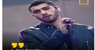Zayn Malik reiterated "Free Palestine," responding with an old post.